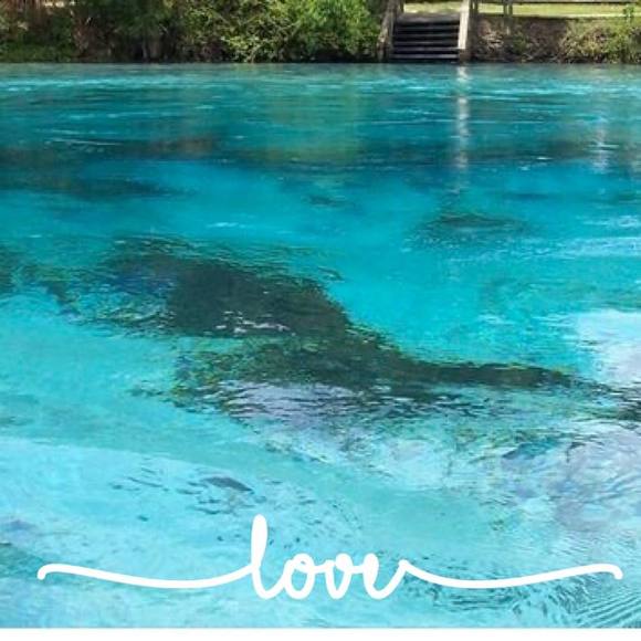 Meet your Posher, Licett - Picture 1 of 1